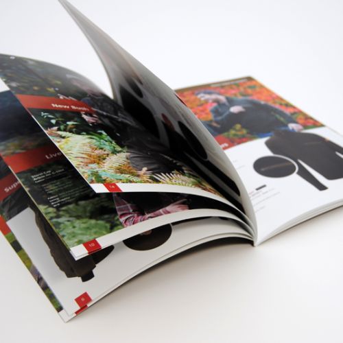 In Catalogue