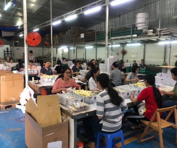 HÌNH ẢNH CÔNG TY MINH THANH