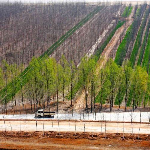 Trung Quốc đã cải tạo sa mạc thành hành lang xanh như thế nào ?